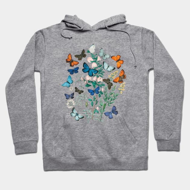 Lispe Butterflies Vintage (1882) European Butterfly Collection Hoodie by Lispe